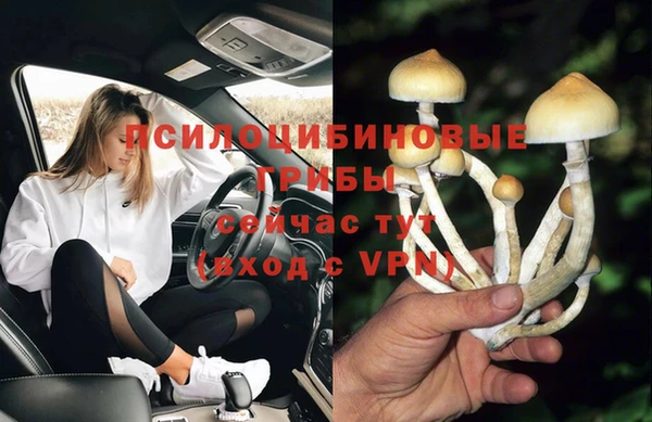 герыч Алексин